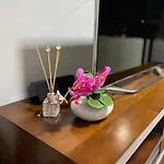 Apartamento Aconchegante No Serra De Caparao
